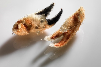 Triển lãm nghệ thuật và khoa học No Surface Holds